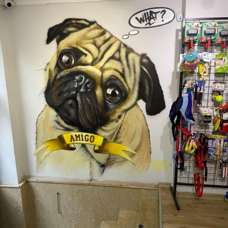 Petshop Graffiti
